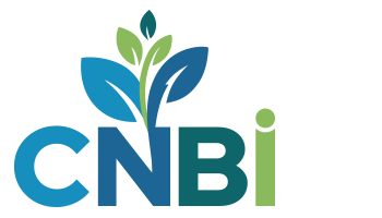 Welcome to Center for New Beginnings